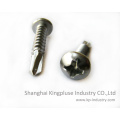 Philip Recessed Pan Head Self-Drilling Screw DIN7505n